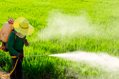 los-pesticidas-en-el-agua-destinada-al-consumo-humano